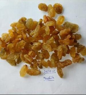 Nashik Yellow Raisins