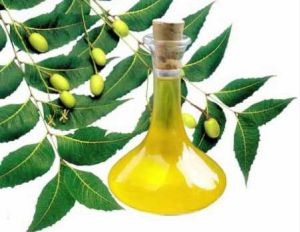 Neem Oil