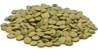 Green Lentil