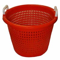 Plastic Baskets