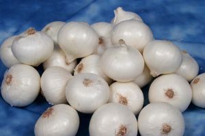 Fresh White Onion