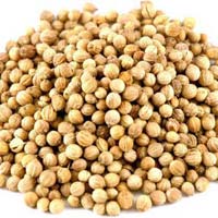 Coriander Seeds