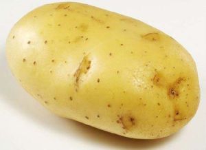 Fresh Potato