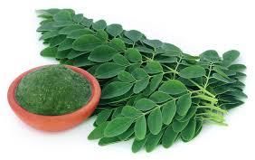 Moringa Leaves