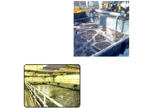 Water Pollution Control Sewage Treatment Plant