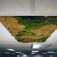 Artificial Grass Ceiling