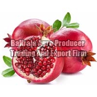 Fresh pomegranate