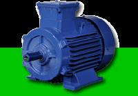 NEW INDUCTION MOTOR