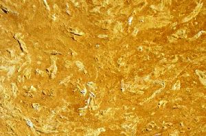 Flowery Gold Sandstone Tiles