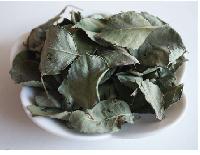 Dried Rose Leaves