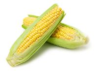 Corn Cobs