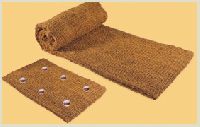 Coir Plant Pallets