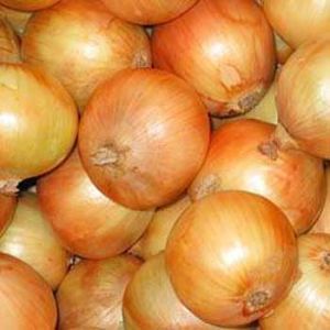 Onion