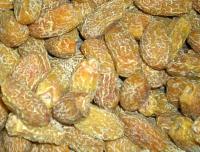 Dry Dates