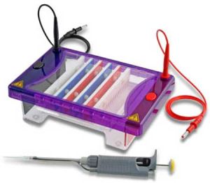 Electrophoresis Systems