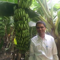 Fresh Fruits and Vegetables