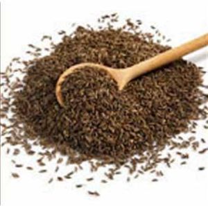 Cumin Seeds 02