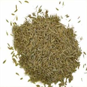 Cumin Seeds 03