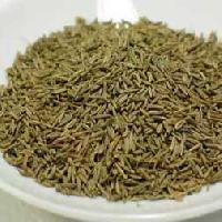 Cumin Seeds 04