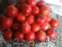 Pomegranate(ANAR Bhagwa)