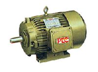 FOOT MOUNTED 3 PHASE MOTOR