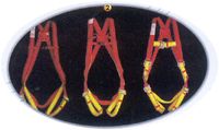 Full Body Harness