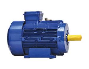 Three Phase Motors