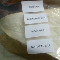 Dog Foods - Ears