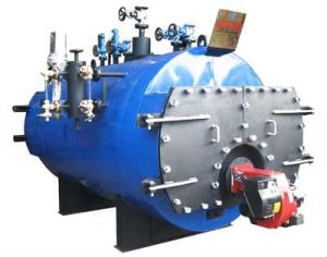 Gas Fired Boiler