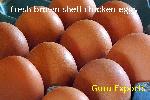 Farm Fresh Poultry Indian White & Brown Shell Chicken Table Eggs