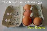 Brown Eggs, White Egg, Farm Fresh Egg, Table Egg, Poultry Farm Egg