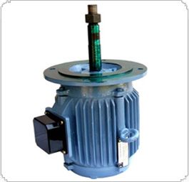 Cooling Tower Motor