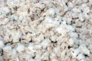 Raw Cotton