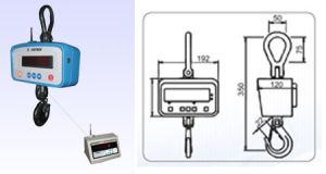 digital crane scale