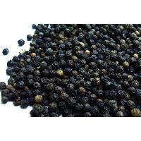 Black Pepper Seeds