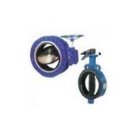 Butterfly Valve