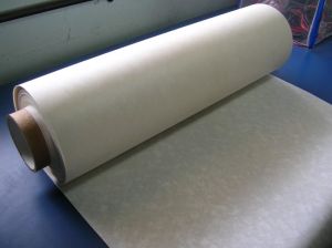 Epoxy Coated Nomex