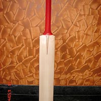 willow cricket bats