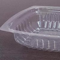 Disposable Plastic Food Containers