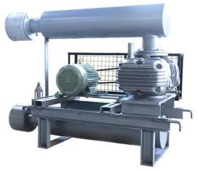 twin lobe air blowers