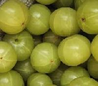 Amla Extract