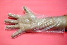 Disposable Plastic Gloves