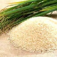 Sella Rice - (pusa-1121)