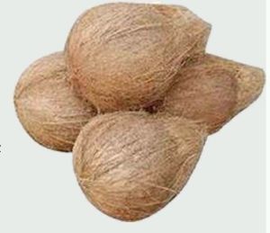 Husked Coconut