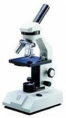 Compound Microscope