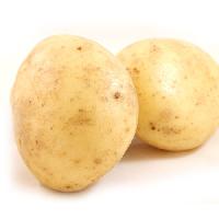 Potato