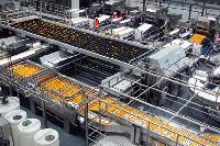 Fruit and  Vegetable Processing Plant