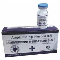 Ampicillin Injection