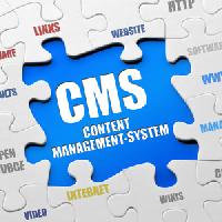 cms based website development