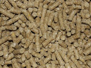 cattle feed pellets